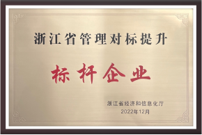 浙江省管理对标提升标杆企业